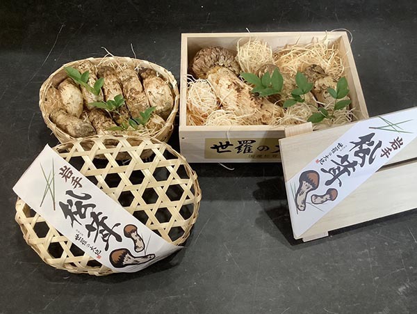 京と竹