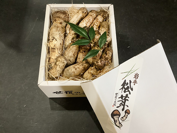 慶