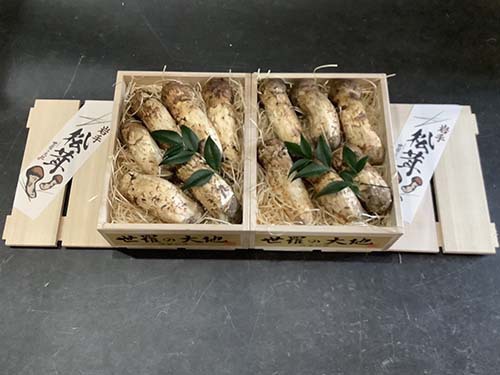 竹2つ