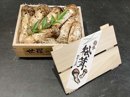 竹