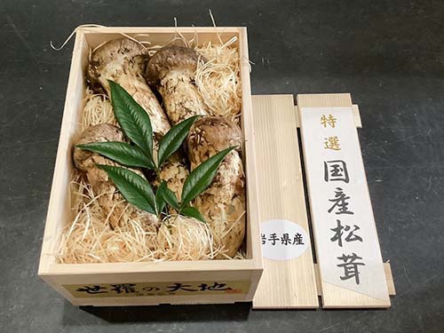 銀