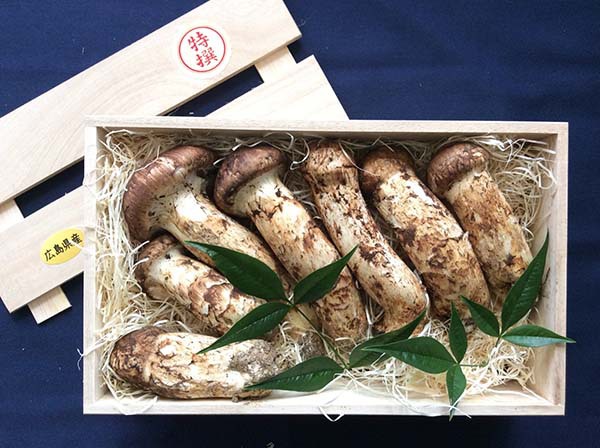 広島県産最高級特撰400gの写真
