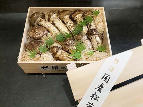 雅