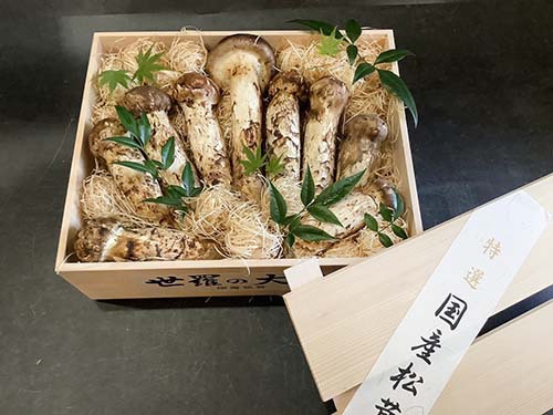 特選10万円分のオーダーメイド　扇詰め
