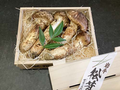 竹