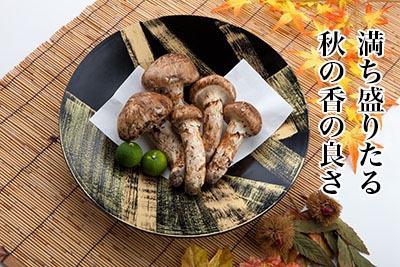 国産松茸のご購入 通販でもお求めいただけます 国産松茸のご購入 通販でもお求めいただけます