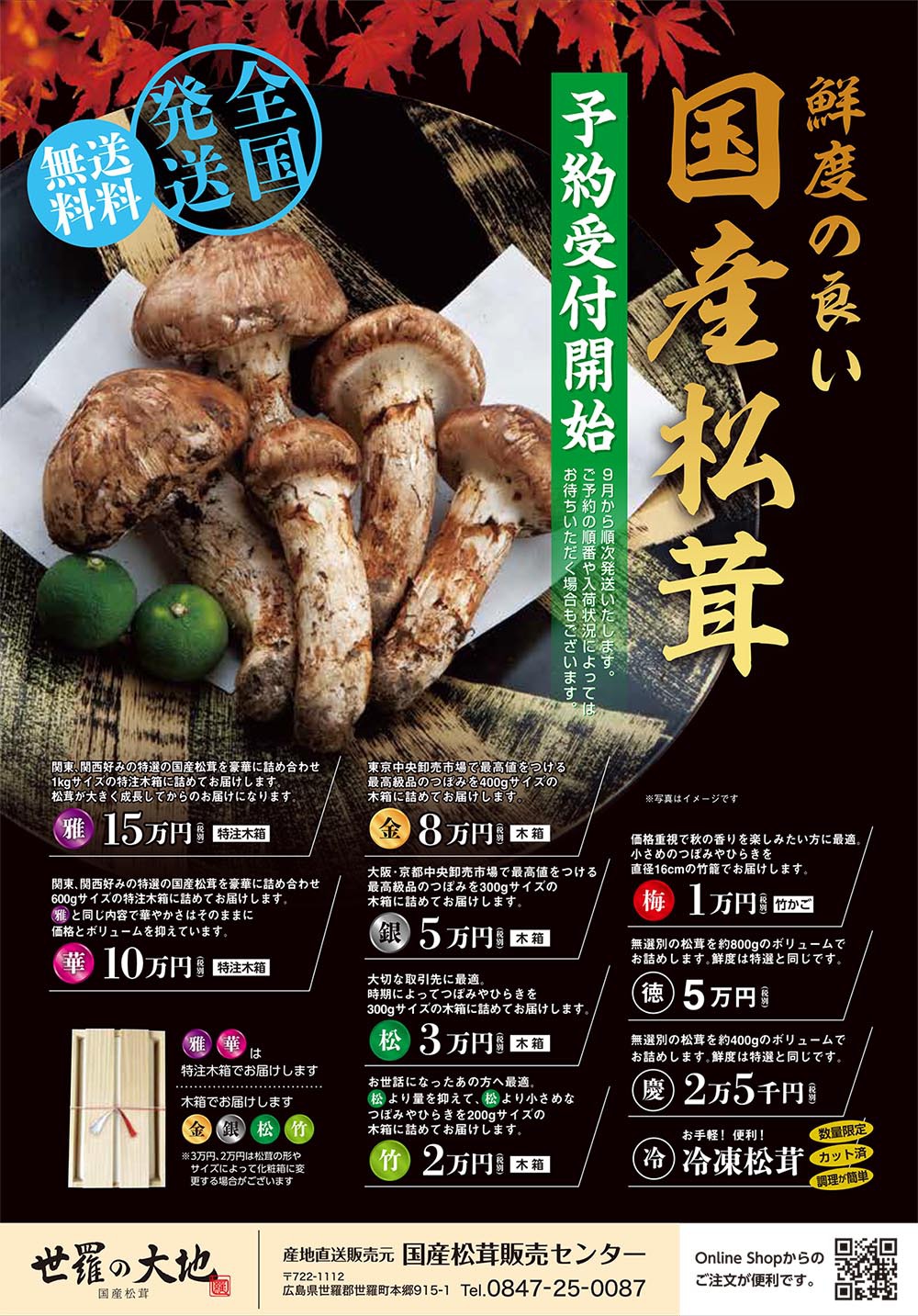 国産松茸のご購入 通販でもお求めいただけます 国産松茸のご購入 通販でもお求めいただけます