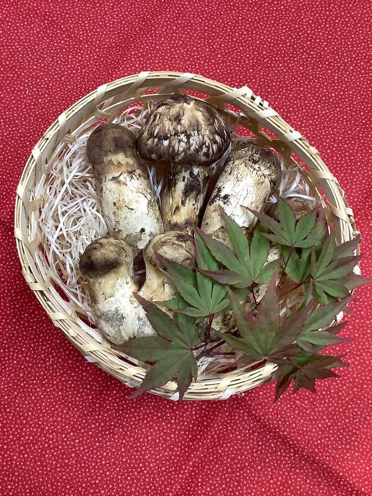 松茸の梅の写真