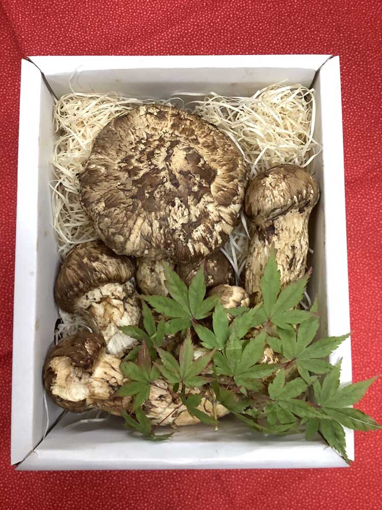 松茸の慶の写真