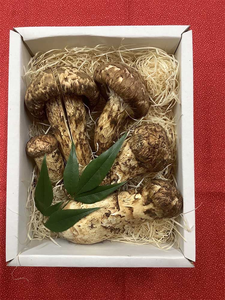 松茸の慶の写真