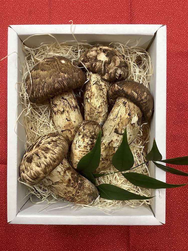 松茸の慶の写真