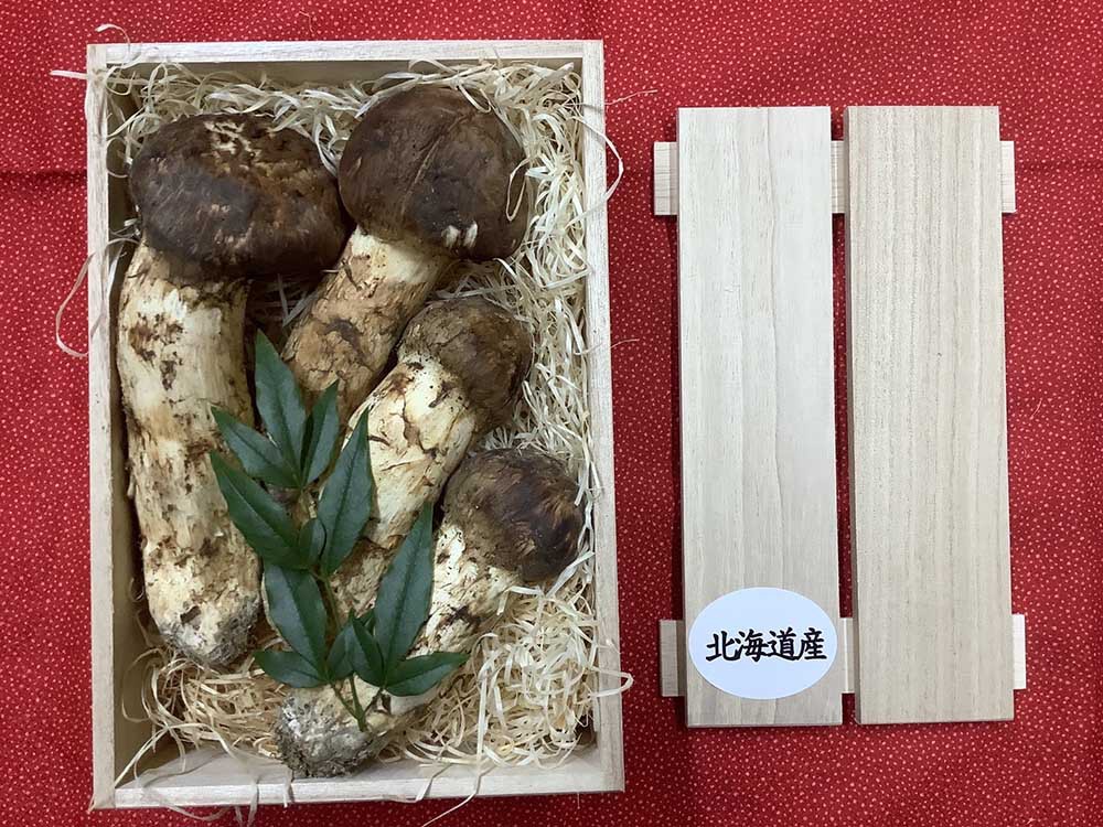 松茸の松の写真