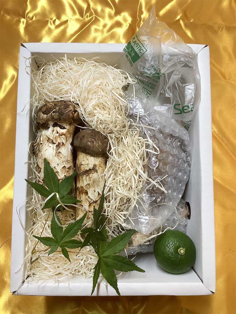 土瓶蒸しセットの写真