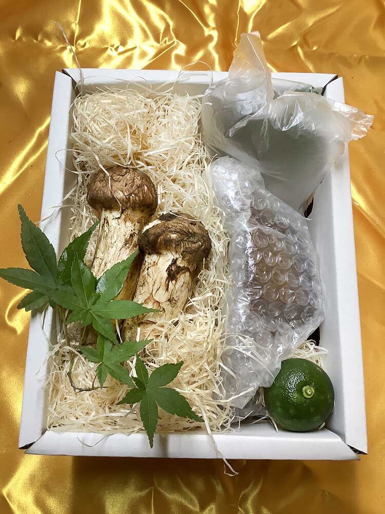 土瓶蒸しセットの写真
