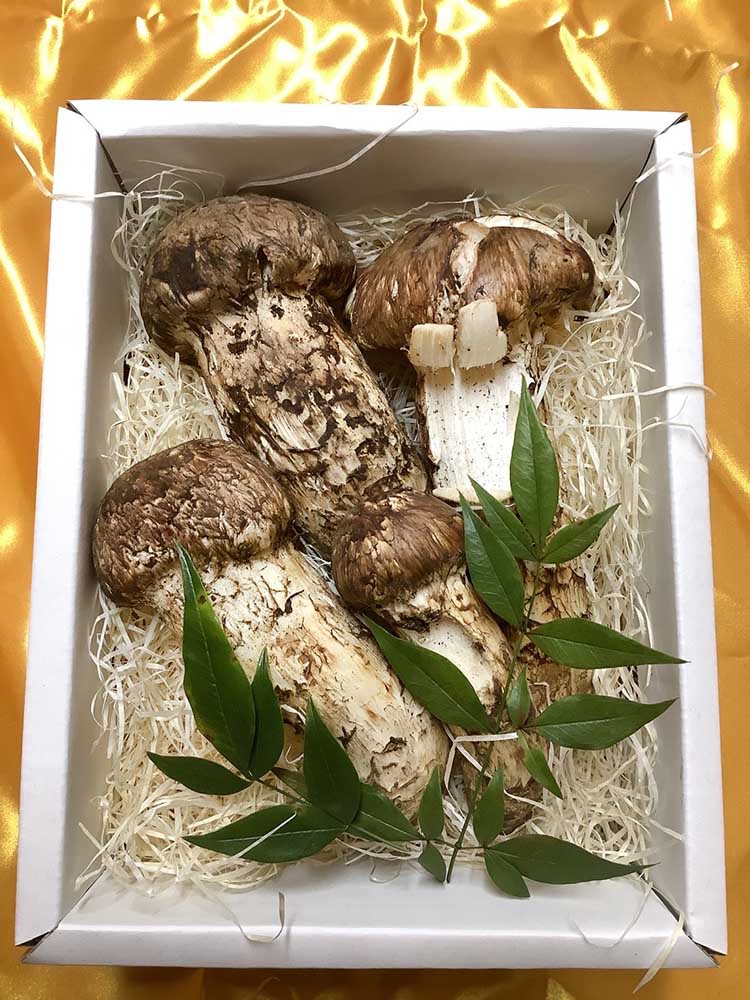 松茸慶の写真