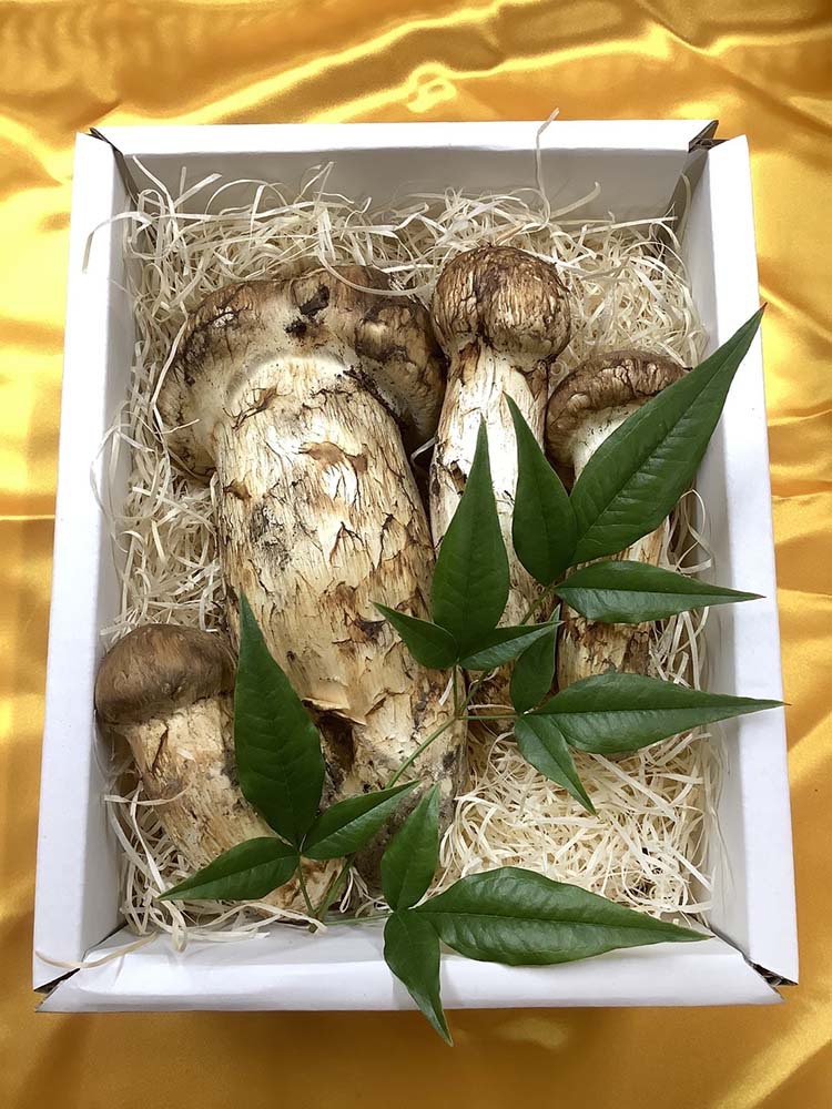 松茸の慶の写真