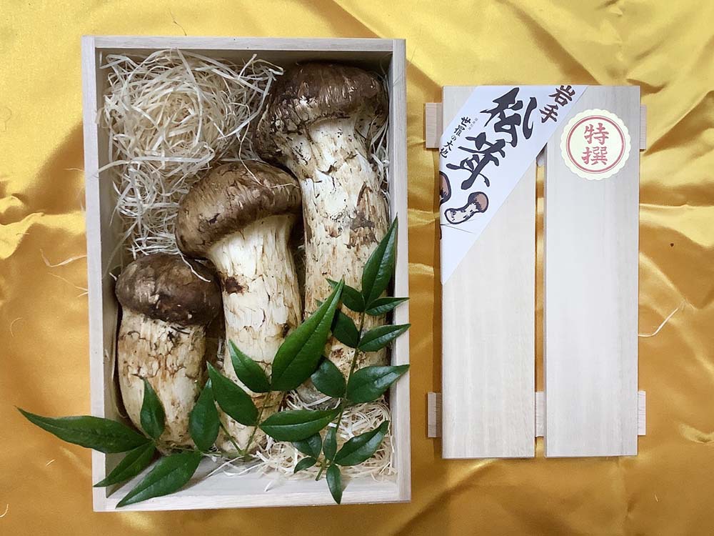 松茸の銀の写真