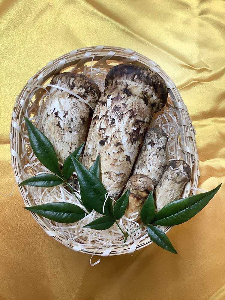 法人さまの特注の松茸の慶200g