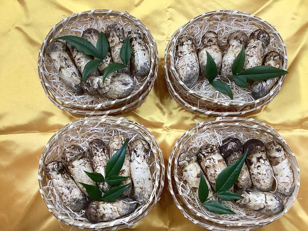 企業様のご注文松茸の梅の写真