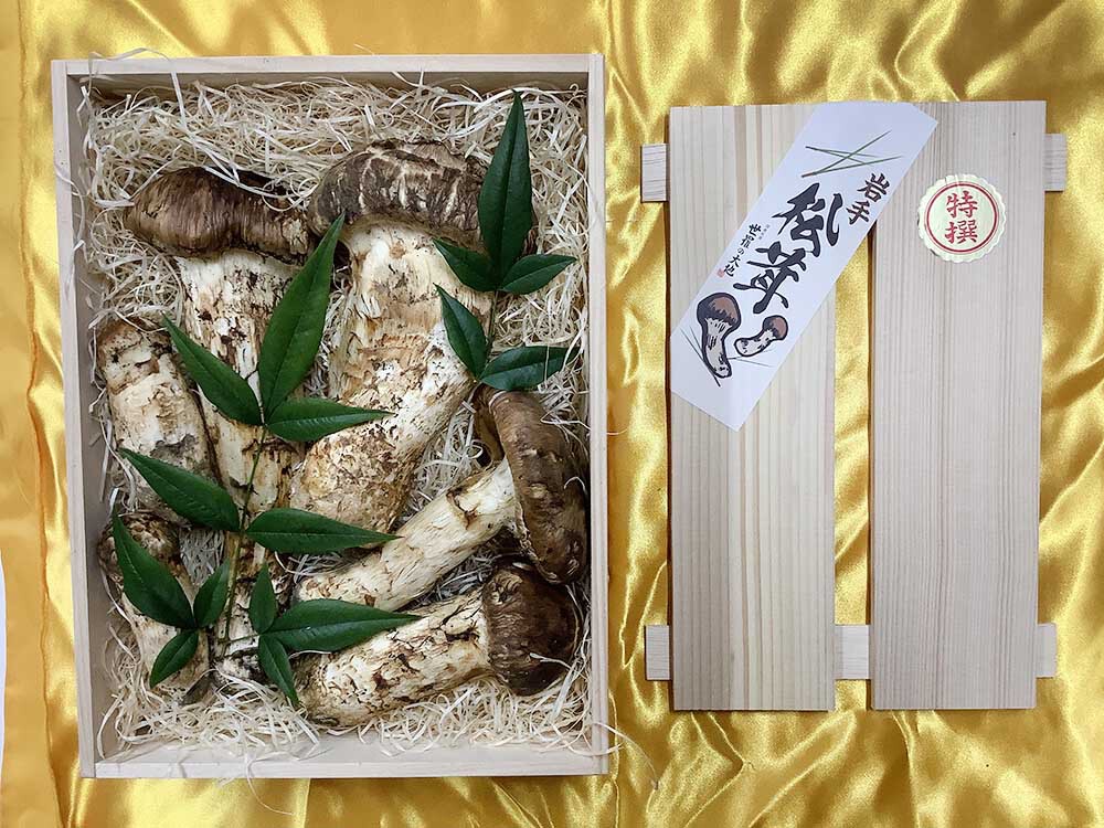 松茸の華の写真