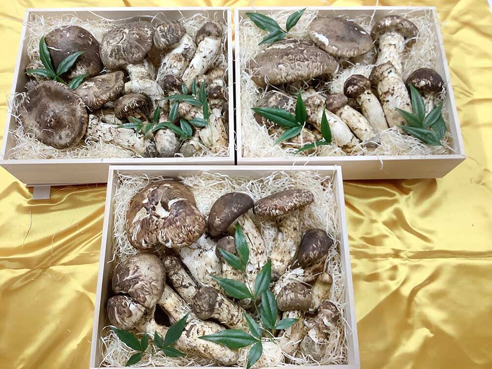 法人さまご依頼松茸20万円分の写真